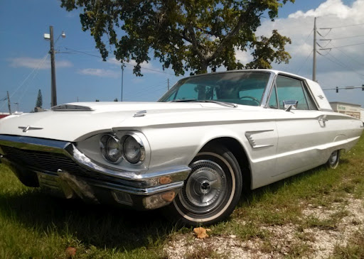 60 t bird